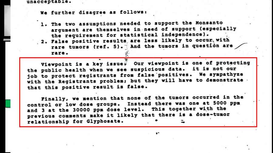 Dr. Lacayo's memo explaining viewpoint.